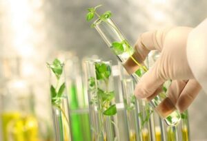 Kem dưỡng da cho bé viêm da cơ địa với tinh chất dầu cám gạo